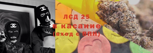 индика Гусь-Хрустальный