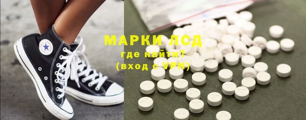индика Гусь-Хрустальный