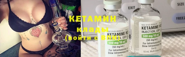 индика Гусь-Хрустальный