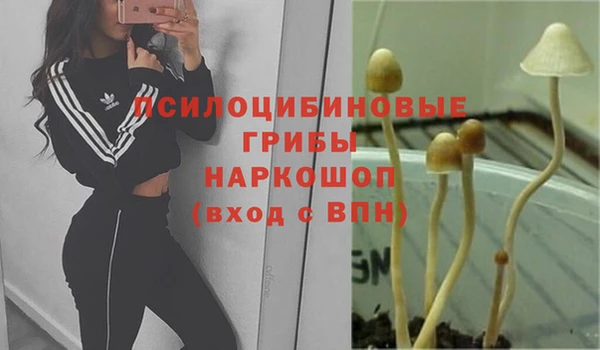 индика Гусь-Хрустальный
