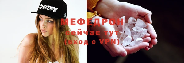 индика Гусь-Хрустальный