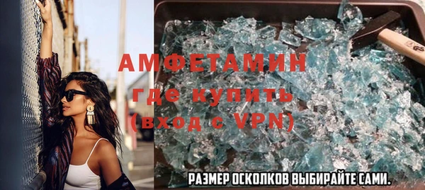 индика Гусь-Хрустальный