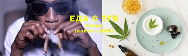 индика Гусь-Хрустальный