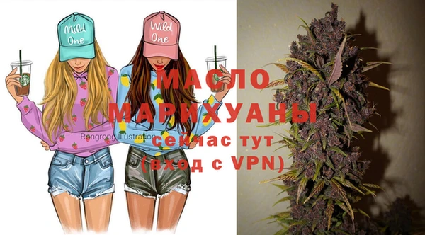 индика Гусь-Хрустальный