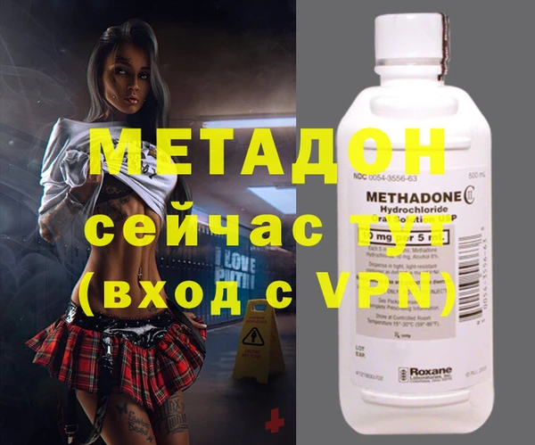 индика Гусь-Хрустальный