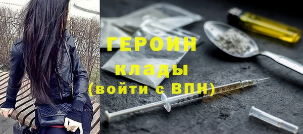 индика Гусь-Хрустальный