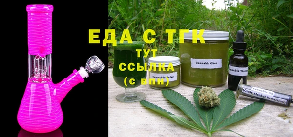 индика Гусь-Хрустальный