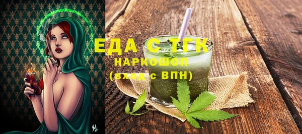 индика Гусь-Хрустальный