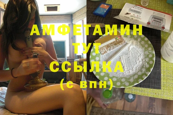 индика Гусь-Хрустальный