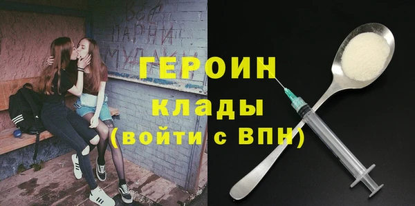 индика Гусь-Хрустальный